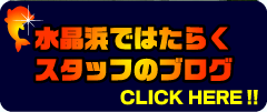 水晶浜ではたらくスタッフのブログ　CLICK HERE!!