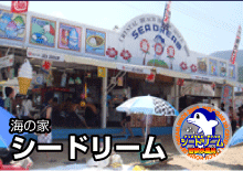 日本海側、きれいな若狭湾の海水浴場は福井県水晶浜海水浴場　海の家シードリーム（SEA DREAM） 海の家　シードリーム
