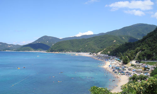 日本海側、きれいな若狭湾の海水浴場は福井県水晶浜海水浴場　海の家シードリーム（SEA DREAM） 写真